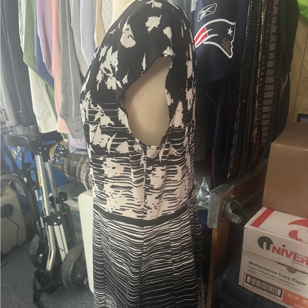 Elle Black and White Midi Dress - Picture 7 of 13